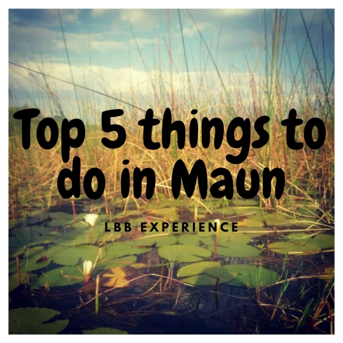 Top 5 things to do in Maun